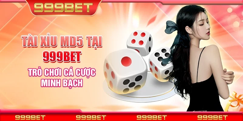 Tài xỉu MD5 tại 999Bet - Trò chơi cá cược minh bạch