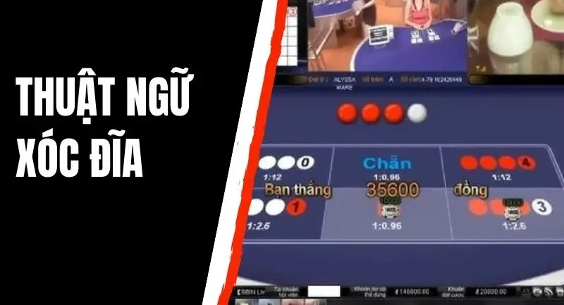 Khám Phá Thuật Ngữ Xóc Đĩa - Hướng Dẫn Toàn Diện