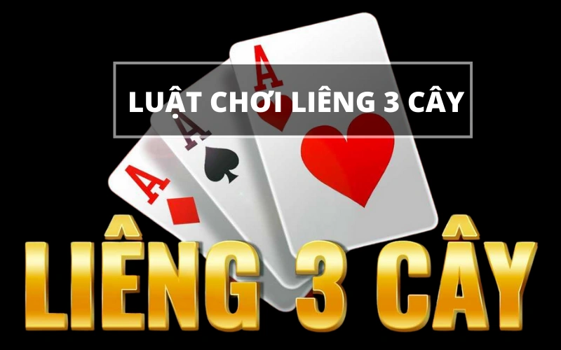 Liêng 3 Cây Bí Quyết Thắng Lớn Chiến Thuật Tinh Tế